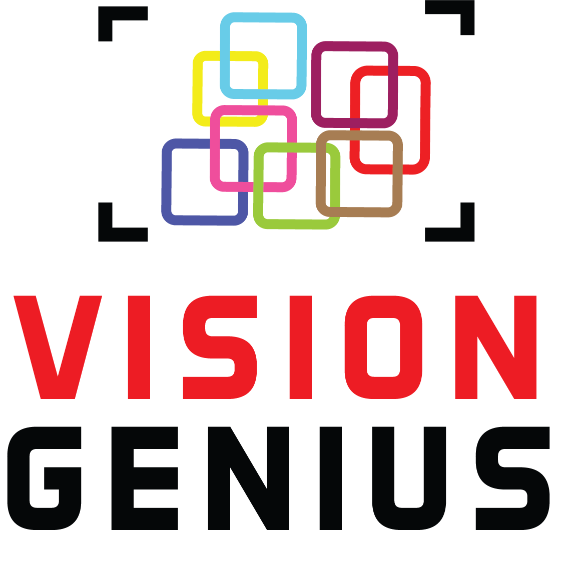 Vision Genius